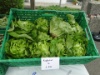 Salat 2
